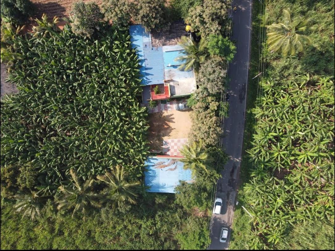 Banana Farm House Hampi Eksteriør billede