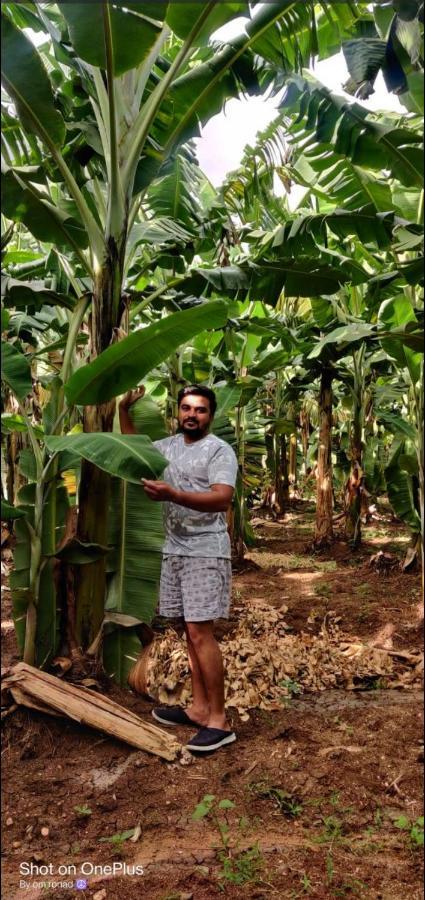 Banana Farm House Hampi Eksteriør billede